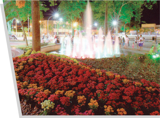 Jardinagem e Conservação